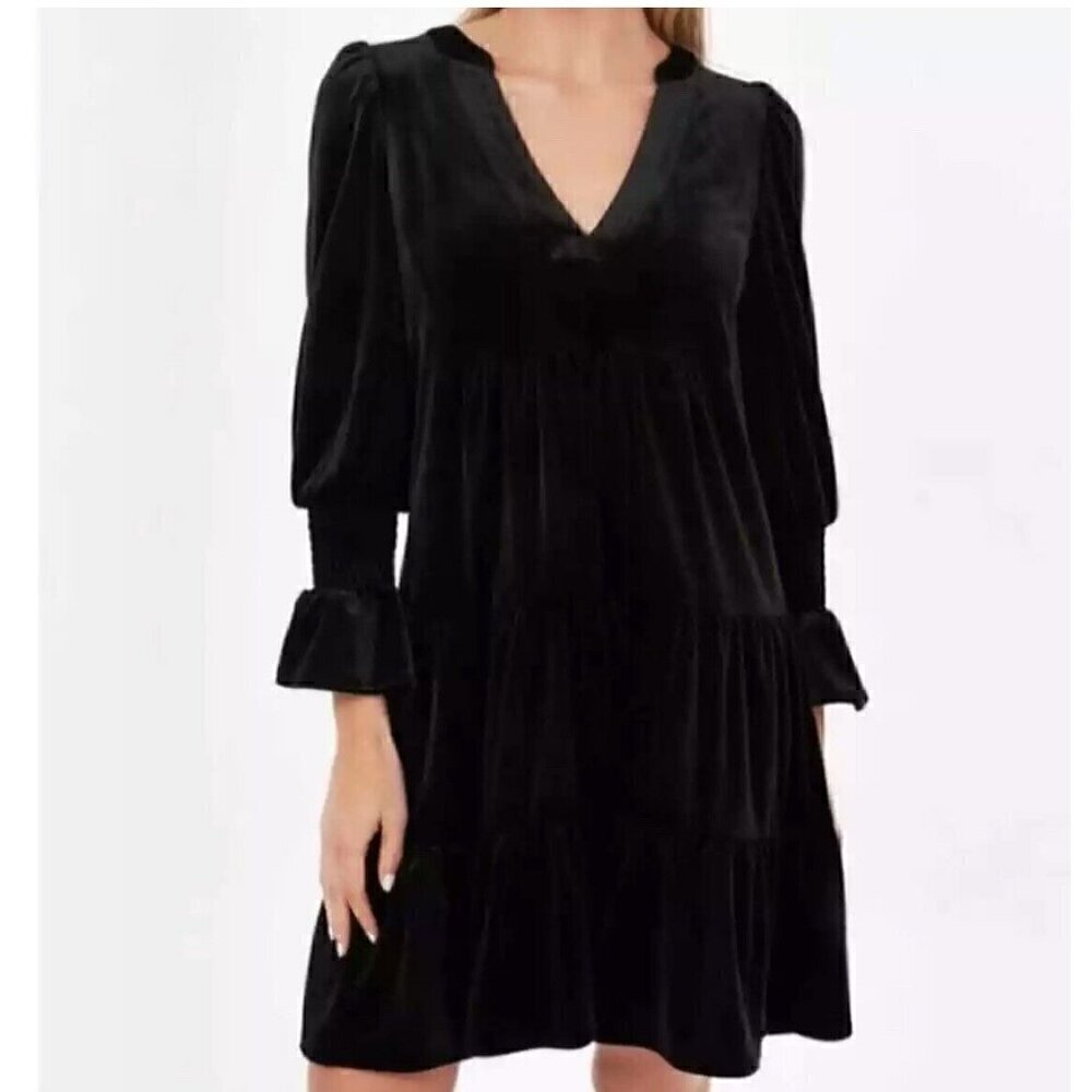 Pomander Place Black Velvet Dress